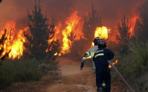 Incendios provocan estragos en el ambiente y en la salud