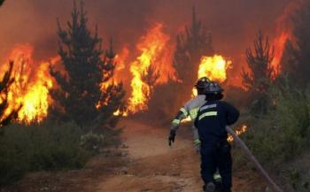 Incendios provocan estragos en el ambiente y en la salud