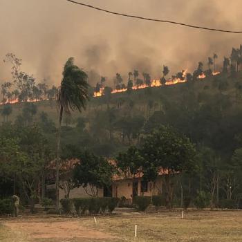 Incendios forestales aumentarán más del 50% durante este siglo, según la ONU