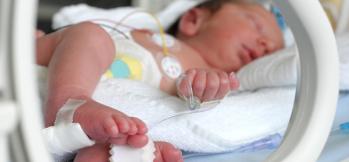 Invitan a taller educativo sobre cuidados a recién nacidos prematuros