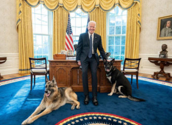 Perros de Joe Biden abandonan la Casa Blanca