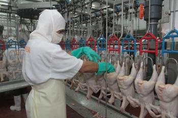 China: Detectan el primer caso de gripe aviar H10N3 en humanos