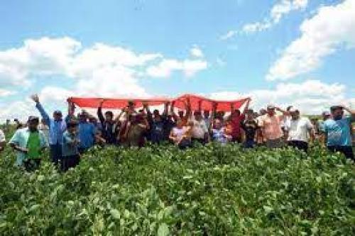 Los campesinos anuncian nuevas movilizaciones contra el Gobierno