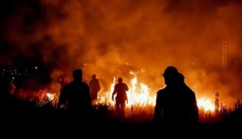 Focos de incendios pone en alerta a Concepción