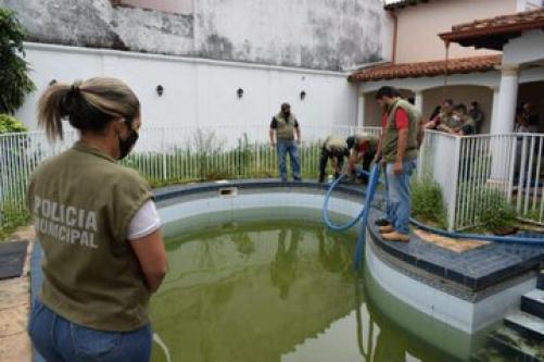 Vivienda con piscina llena de larvas de mosquitos es intervenida en Asunción